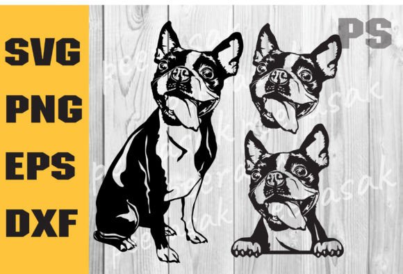 Boston Terrier Svg for Embroidery: A Practical Review